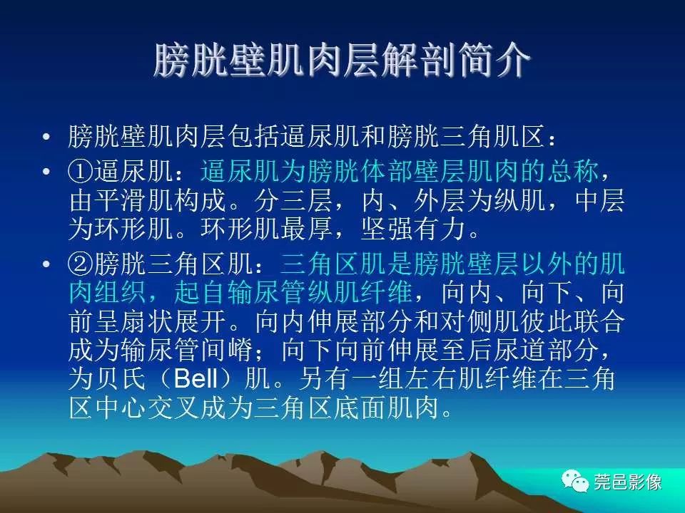 【PPT】氯胺酮相关性肝胆、泌尿系统损害的CT诊断
