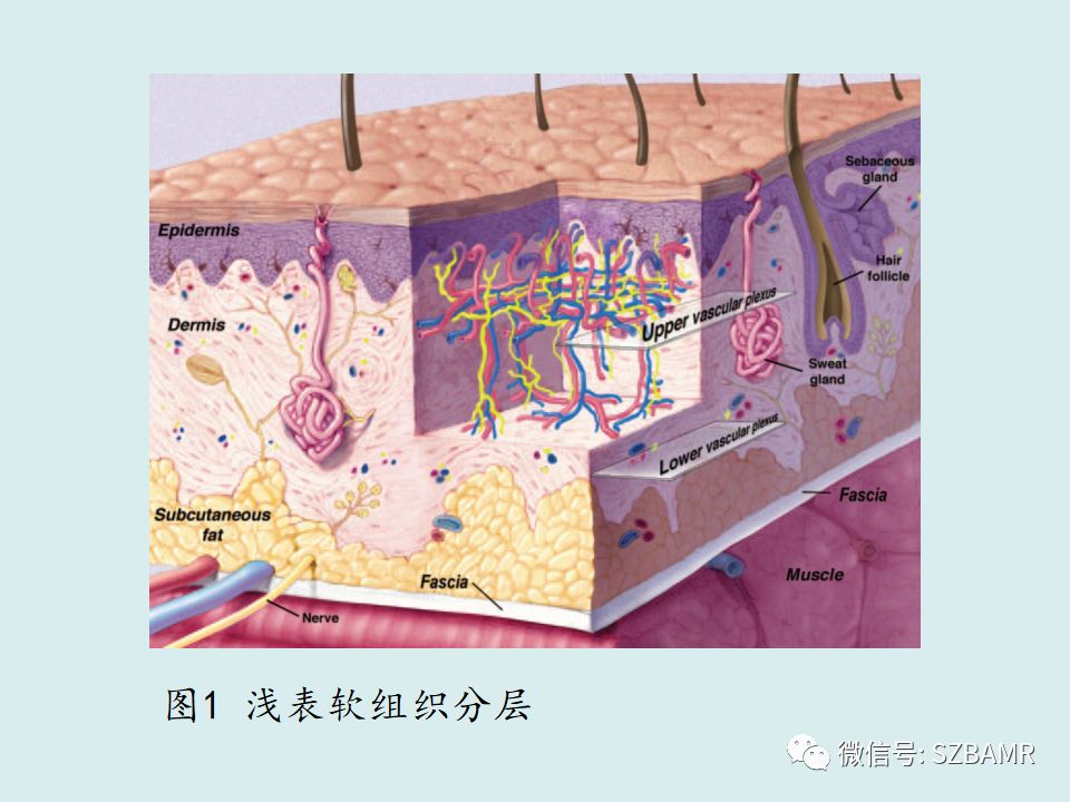 【PPT】浅表软组织肿块的影像分析、诊断及鉴别