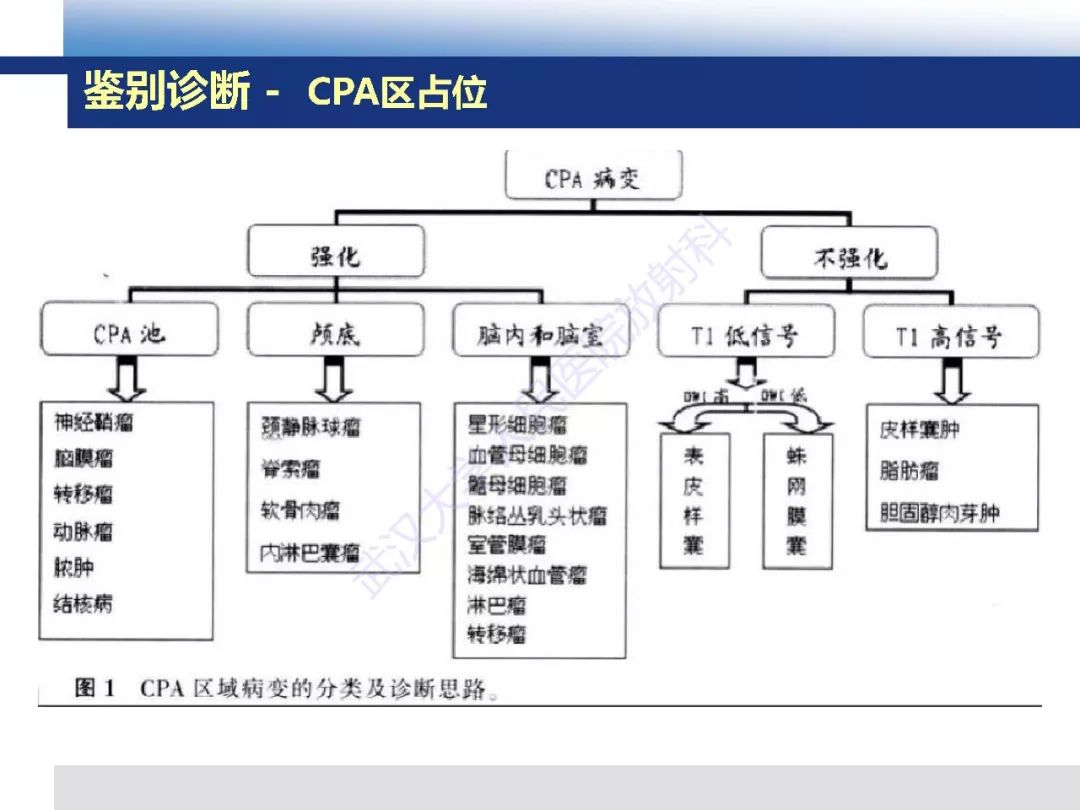 【PPT】颅底软骨样脊索瘤影像诊断