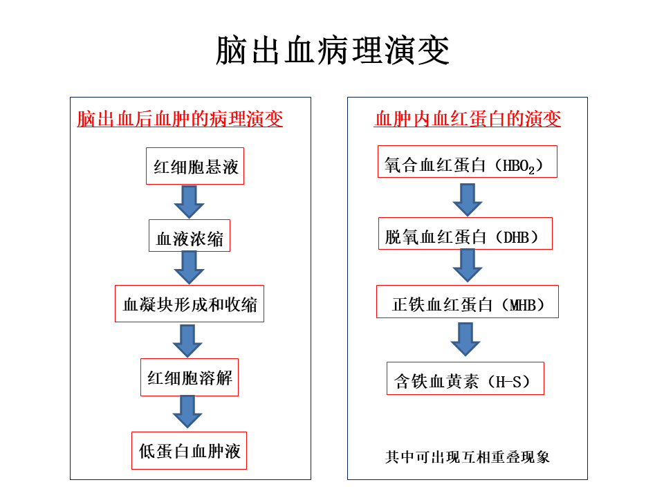 【PPT】脑出血MRI信号的演变
