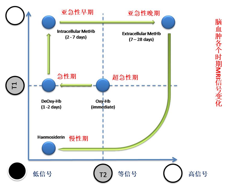 【PPT】脑出血MRI信号的演变