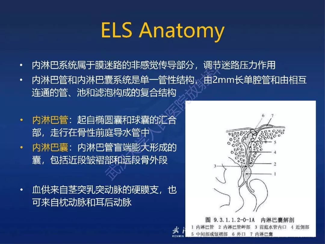 【PPT】耳内淋巴囊肿瘤影像诊断