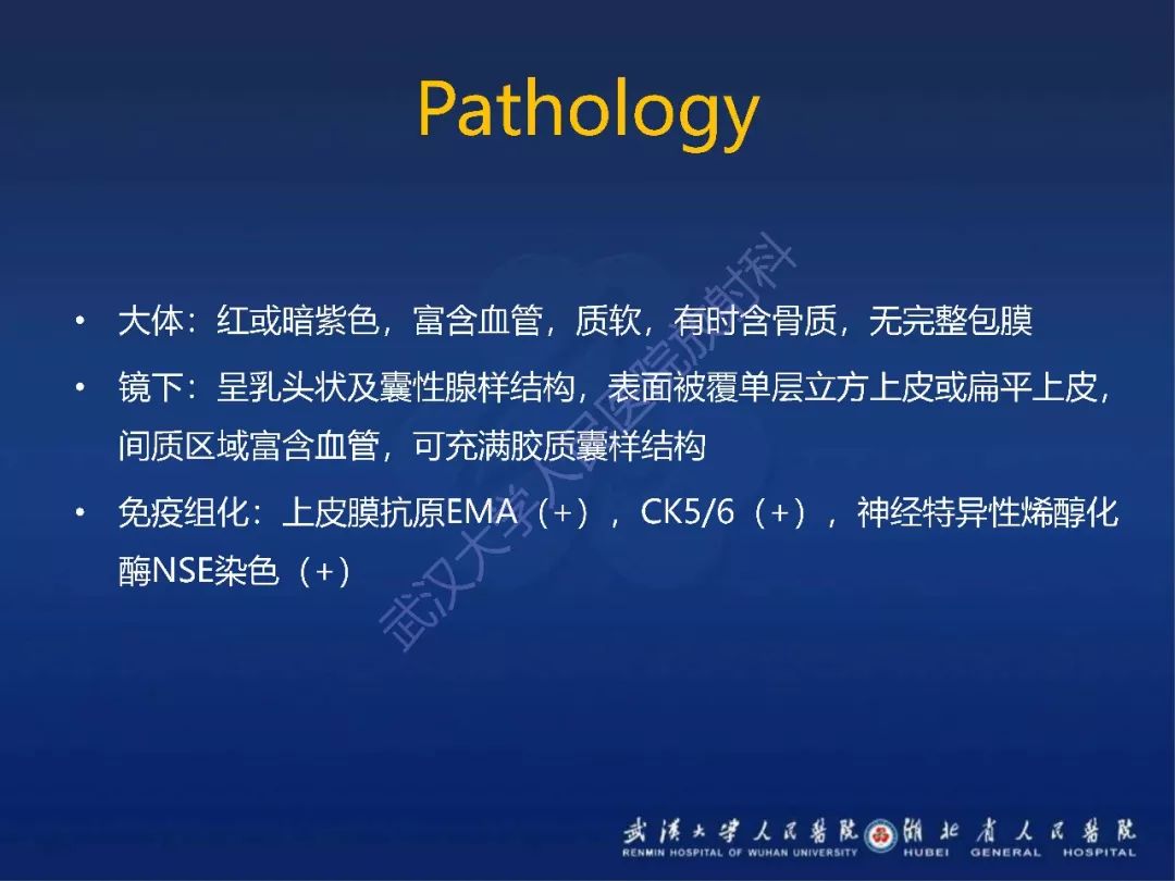 【PPT】耳内淋巴囊肿瘤影像诊断