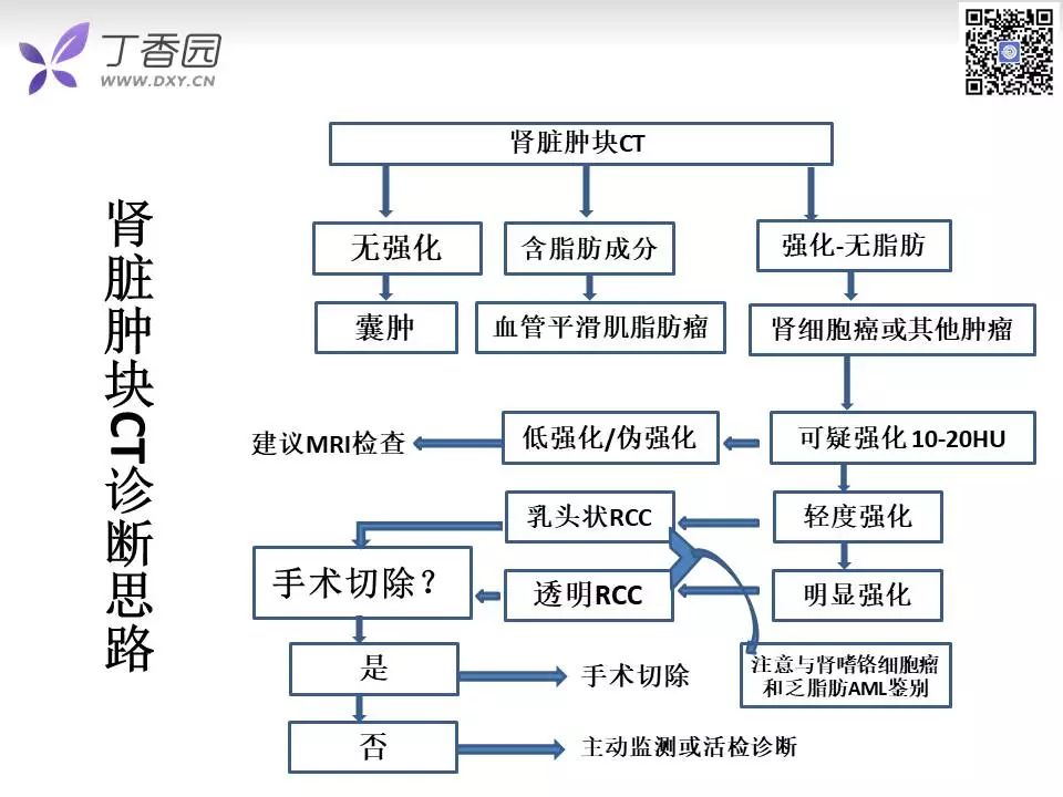【PPT】肾脏常见肿瘤的影像诊断思路
