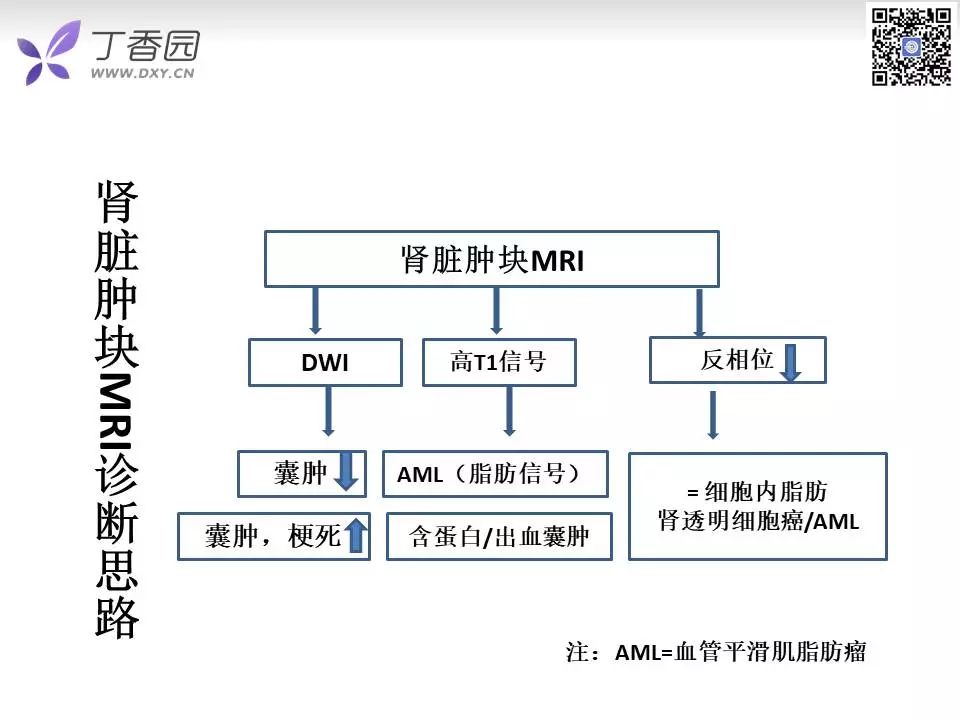 【PPT】肾脏常见肿瘤的影像诊断思路