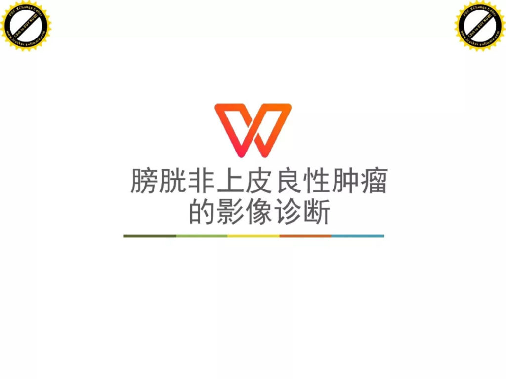 【PPT】膀胱非上皮良性肿瘤的影像诊断