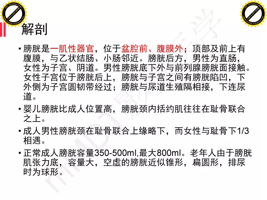 【PPT】膀胱非上皮良性肿瘤的影像诊断