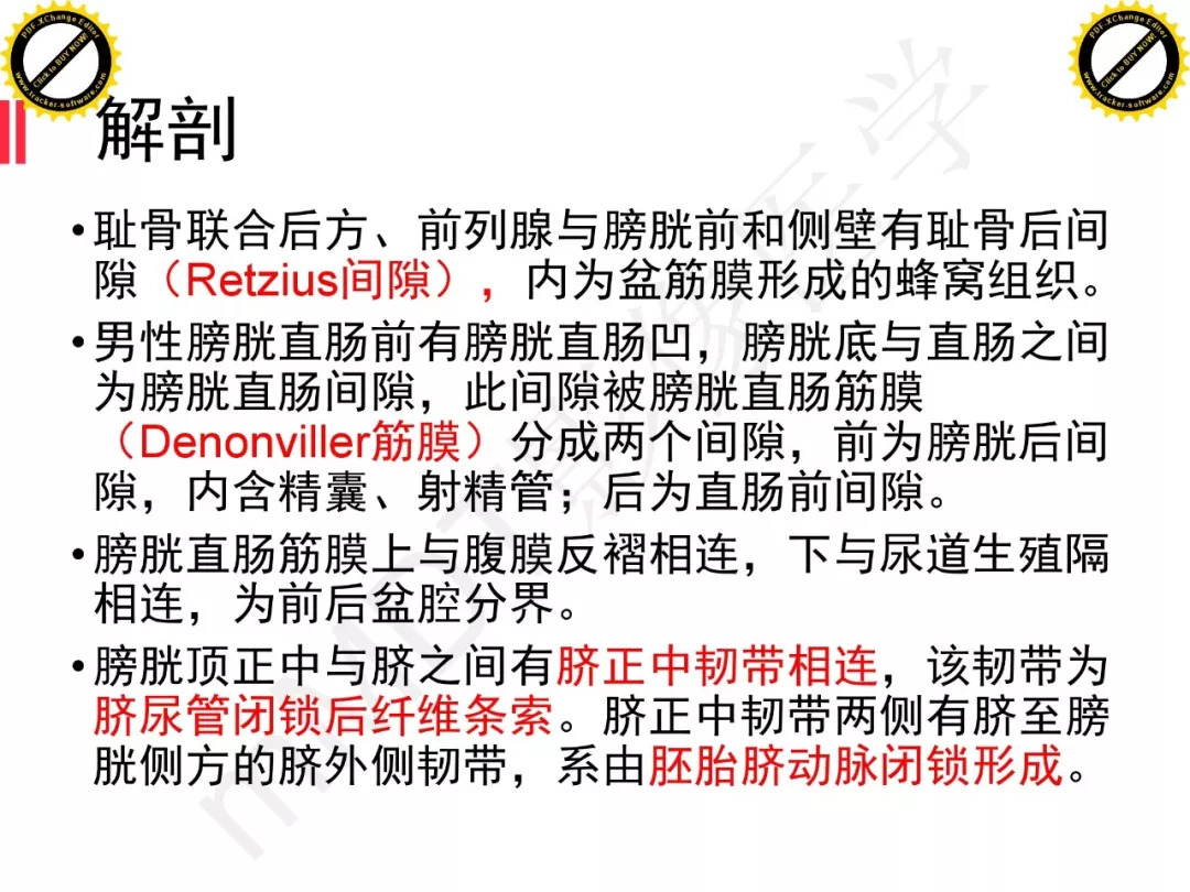 【PPT】膀胱非上皮良性肿瘤的影像诊断