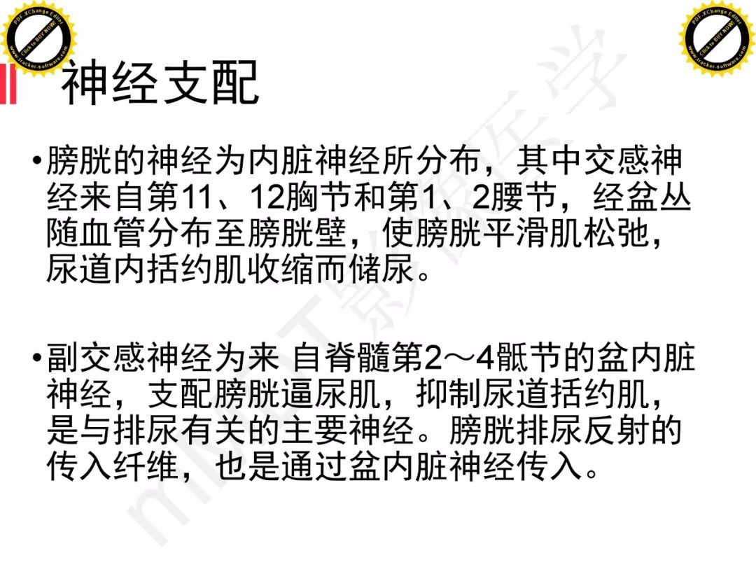 【PPT】膀胱非上皮良性肿瘤的影像诊断