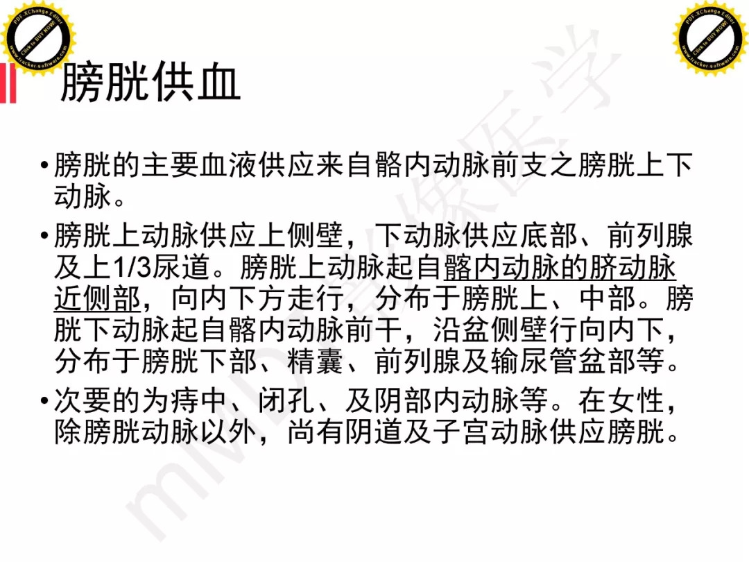 【PPT】膀胱非上皮良性肿瘤的影像诊断