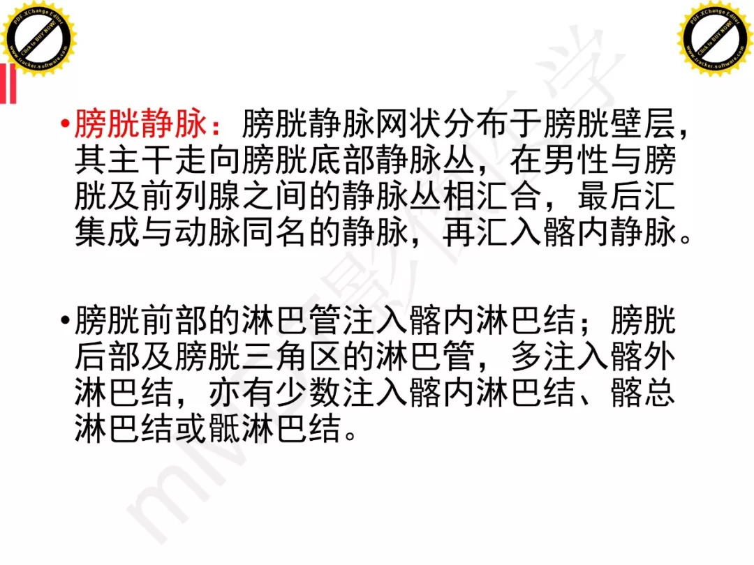 【PPT】膀胱非上皮良性肿瘤的影像诊断