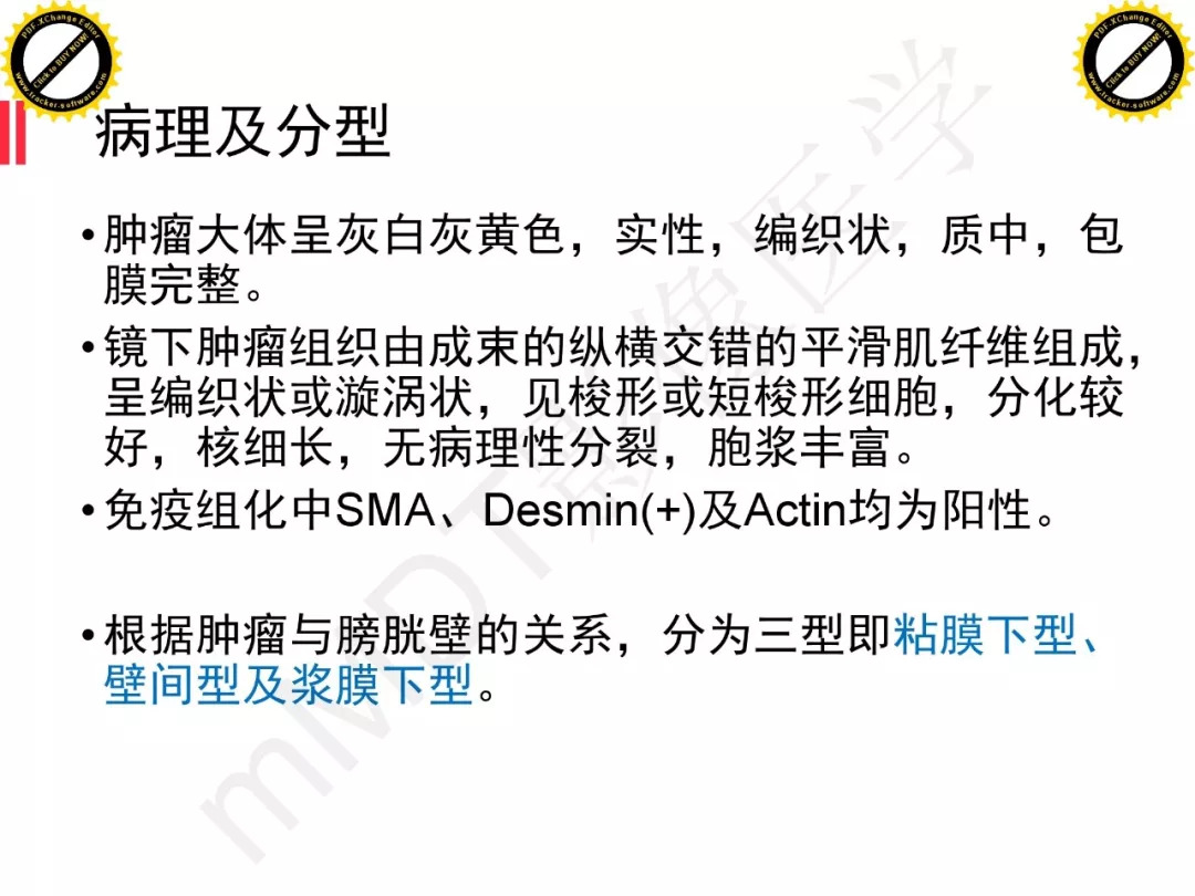 【PPT】膀胱非上皮良性肿瘤的影像诊断