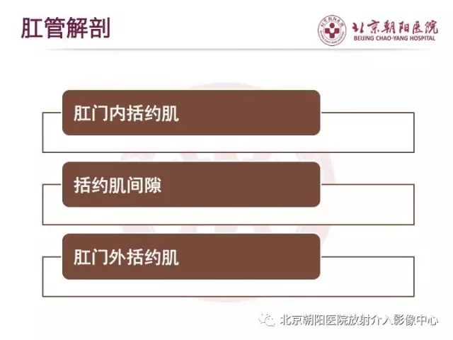 【PPT】肛瘘相关MRI影像学解剖及诊断