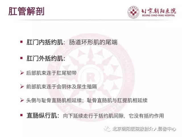 【PPT】肛瘘相关MRI影像学解剖及诊断