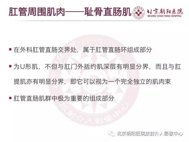 【PPT】肛瘘相关MRI影像学解剖及诊断