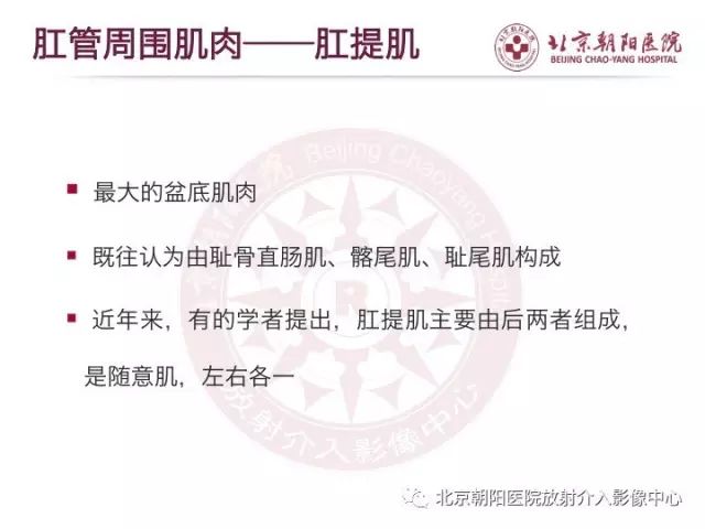 【PPT】肛瘘相关MRI影像学解剖及诊断