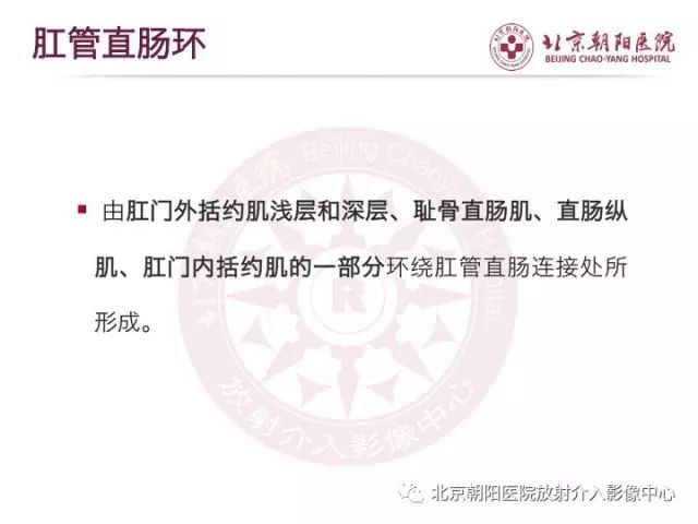 【PPT】肛瘘相关MRI影像学解剖及诊断