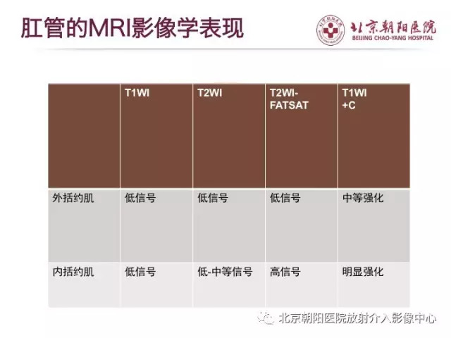 【PPT】肛瘘相关MRI影像学解剖及诊断