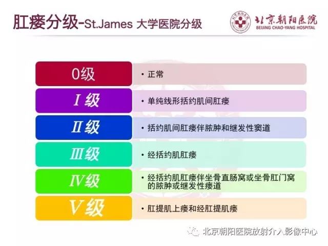 【PPT】肛瘘相关MRI影像学解剖及诊断