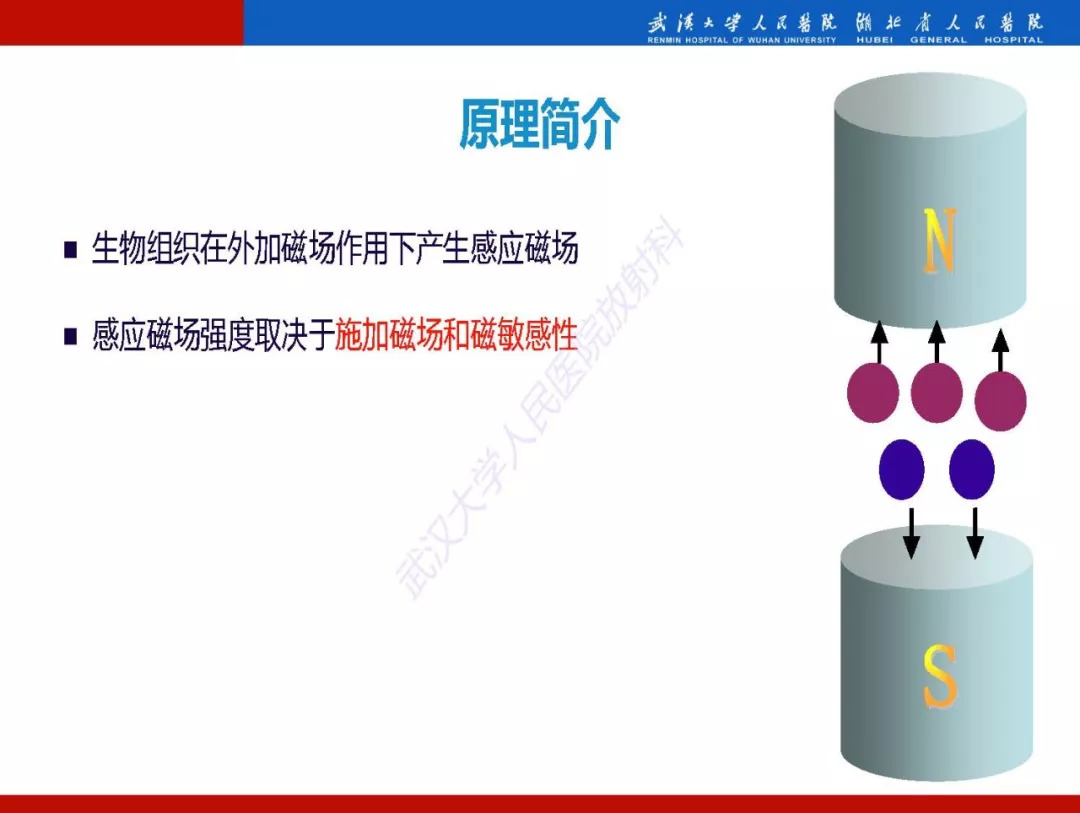 【PPT】磁敏感加权成像原理及临床应用