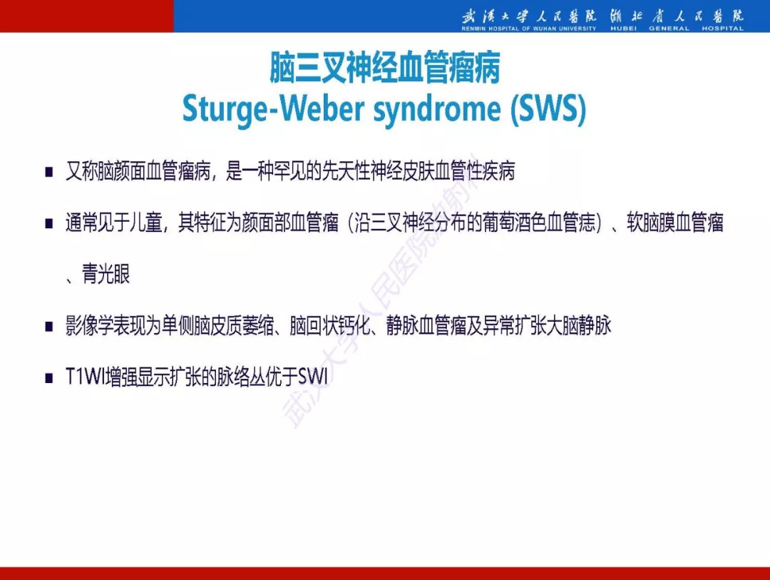 【PPT】磁敏感加权成像原理及临床应用