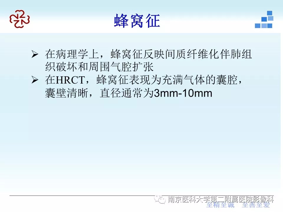 【PPT】特发性间质性肺炎CT表现