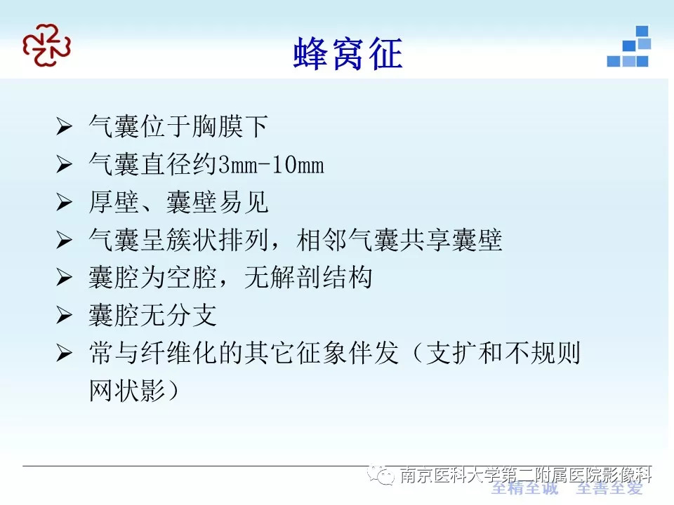 【PPT】特发性间质性肺炎CT表现