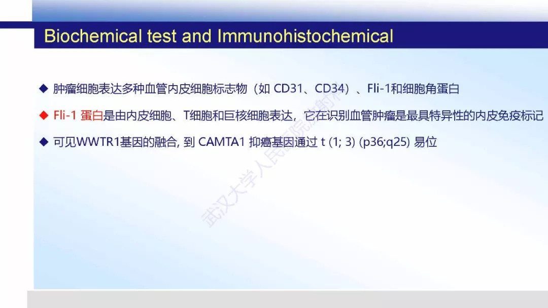 【PPT】颅内上皮样血管内皮细胞瘤影像诊断