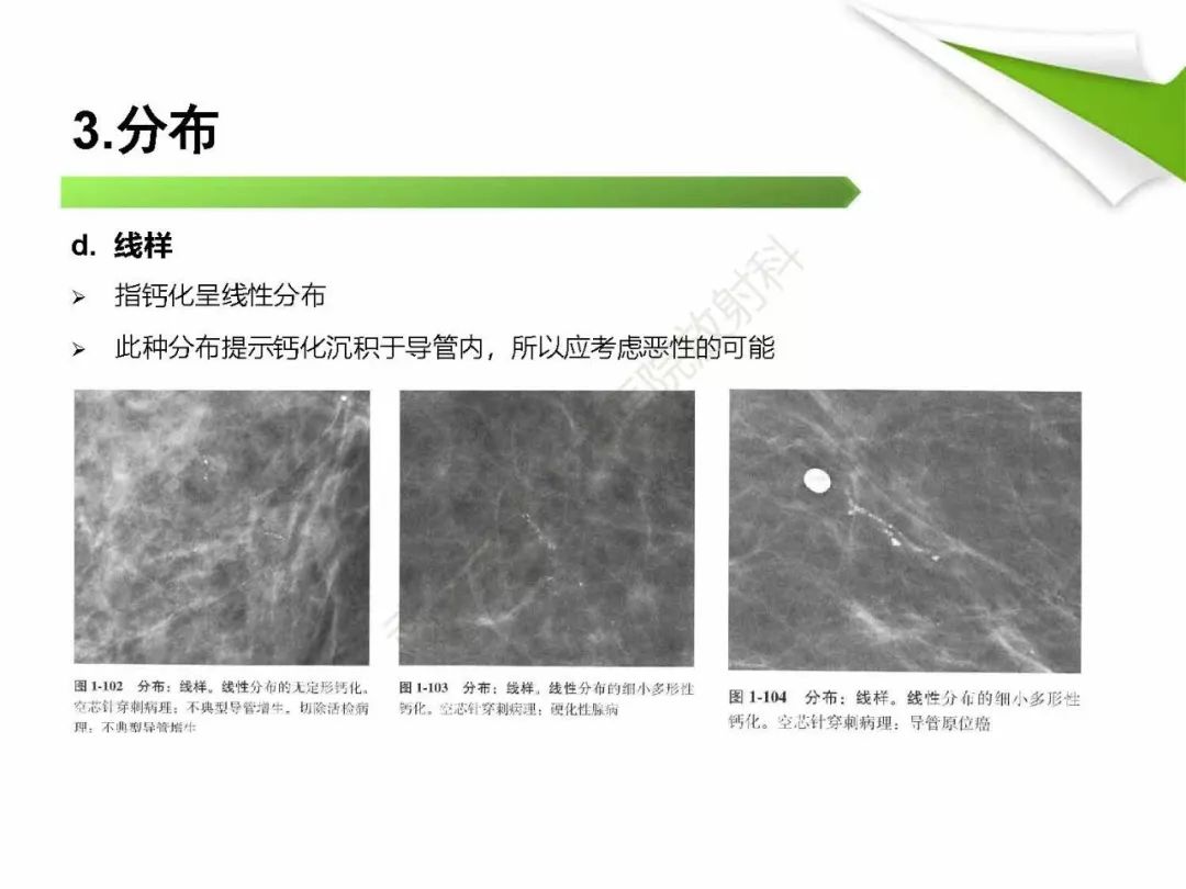 【PPT】乳腺X线影像表现与术语规范