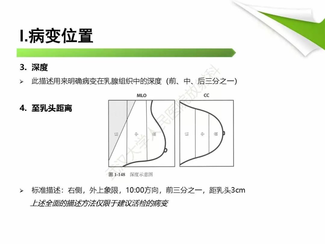 【PPT】乳腺X线影像表现与术语规范