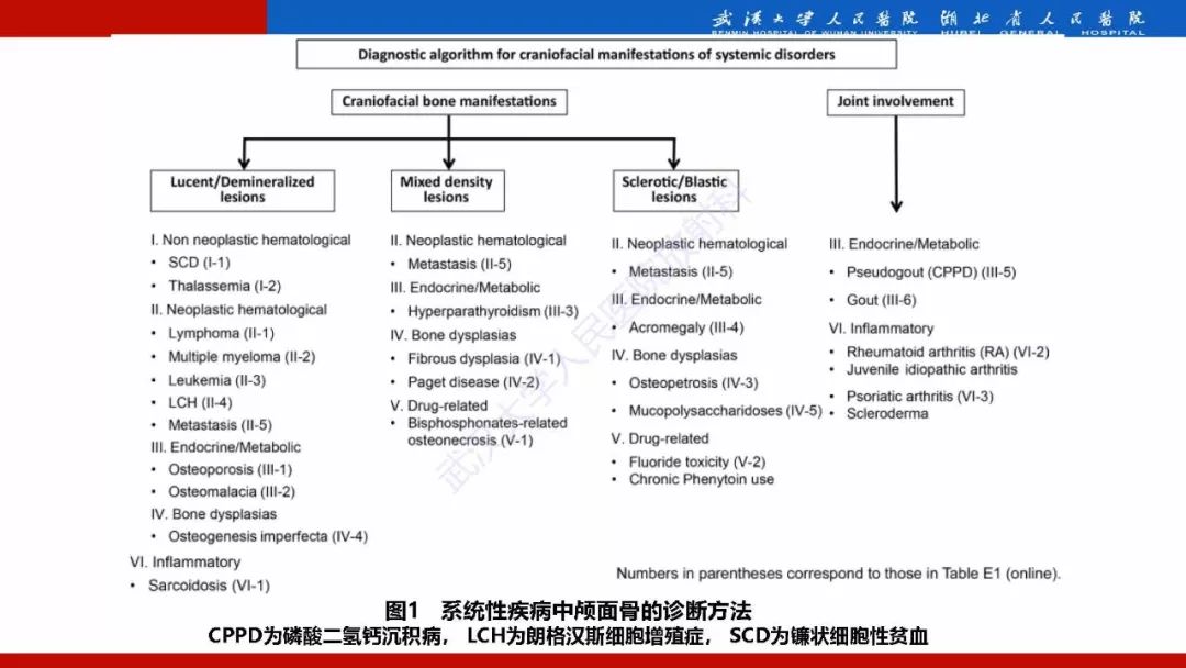 【PPT】系统性疾病累及颅面骨的影像表现