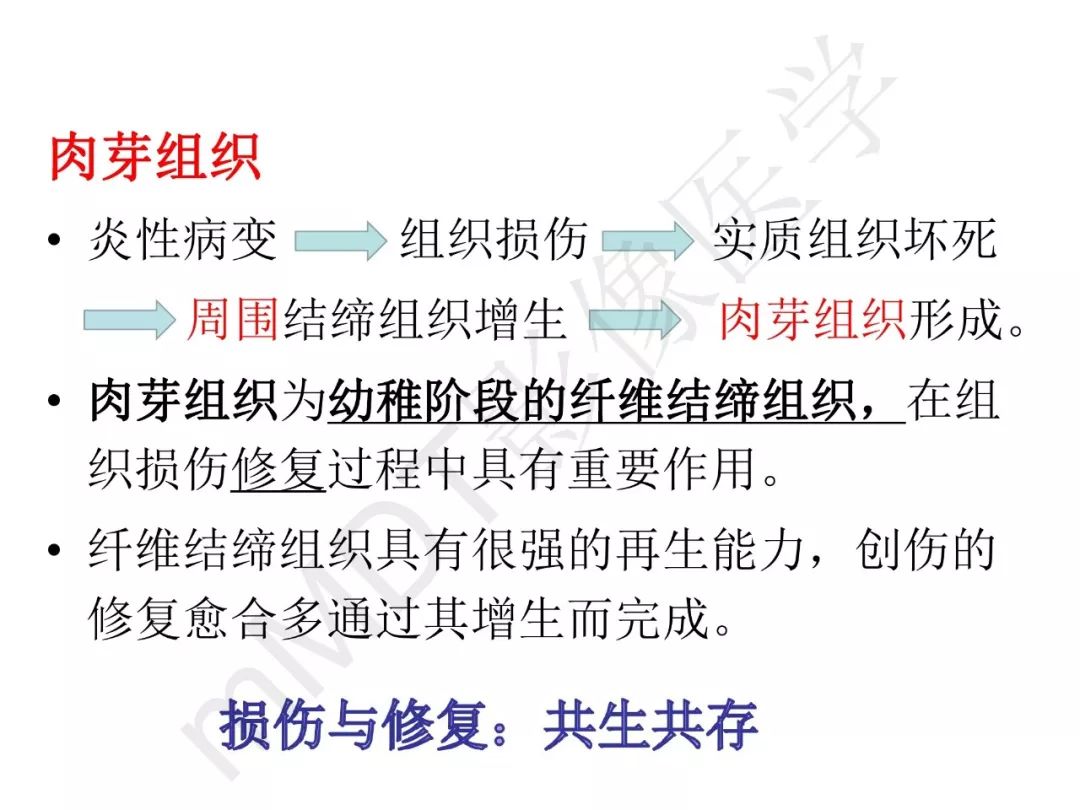【PPT】纤维组织在肝脏炎性病变MR诊断中的价值