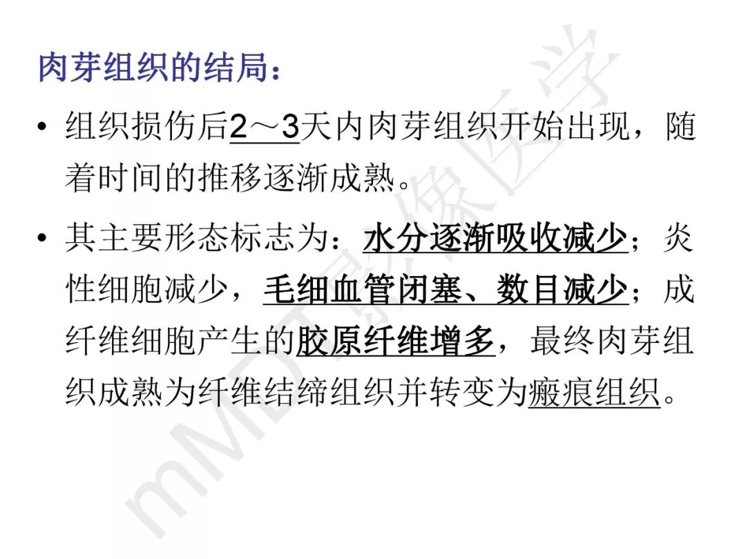 【PPT】纤维组织在肝脏炎性病变MR诊断中的价值