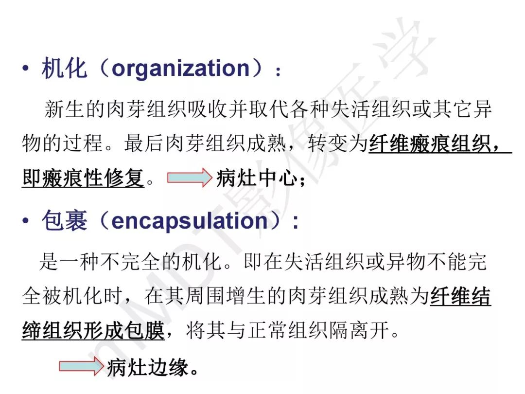 【PPT】纤维组织在肝脏炎性病变MR诊断中的价值
