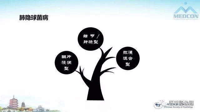 【PPT】AIDS并发播散性真菌病的CT表现