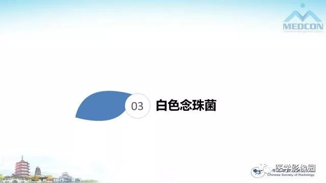 【PPT】AIDS并发播散性真菌病的CT表现