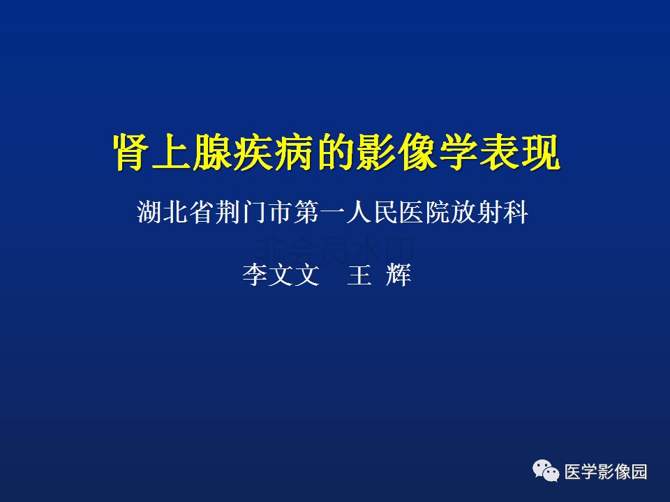 【PPT】肾上腺疾病的影像学表现