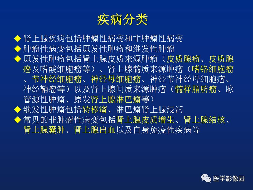 【PPT】肾上腺疾病的影像学表现