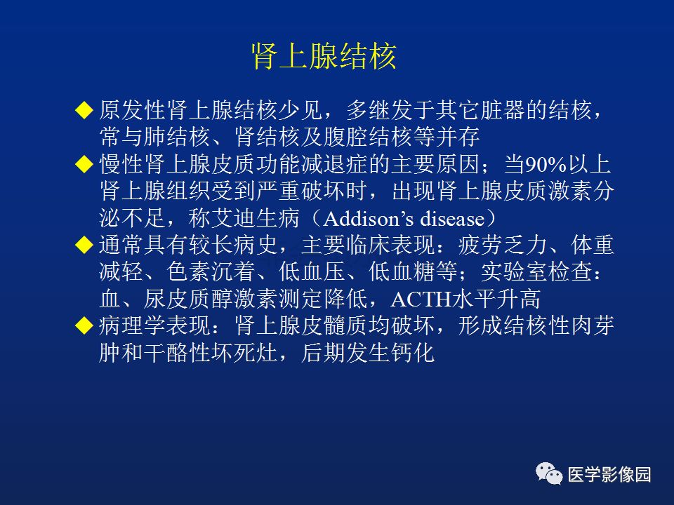 【PPT】肾上腺疾病的影像学表现