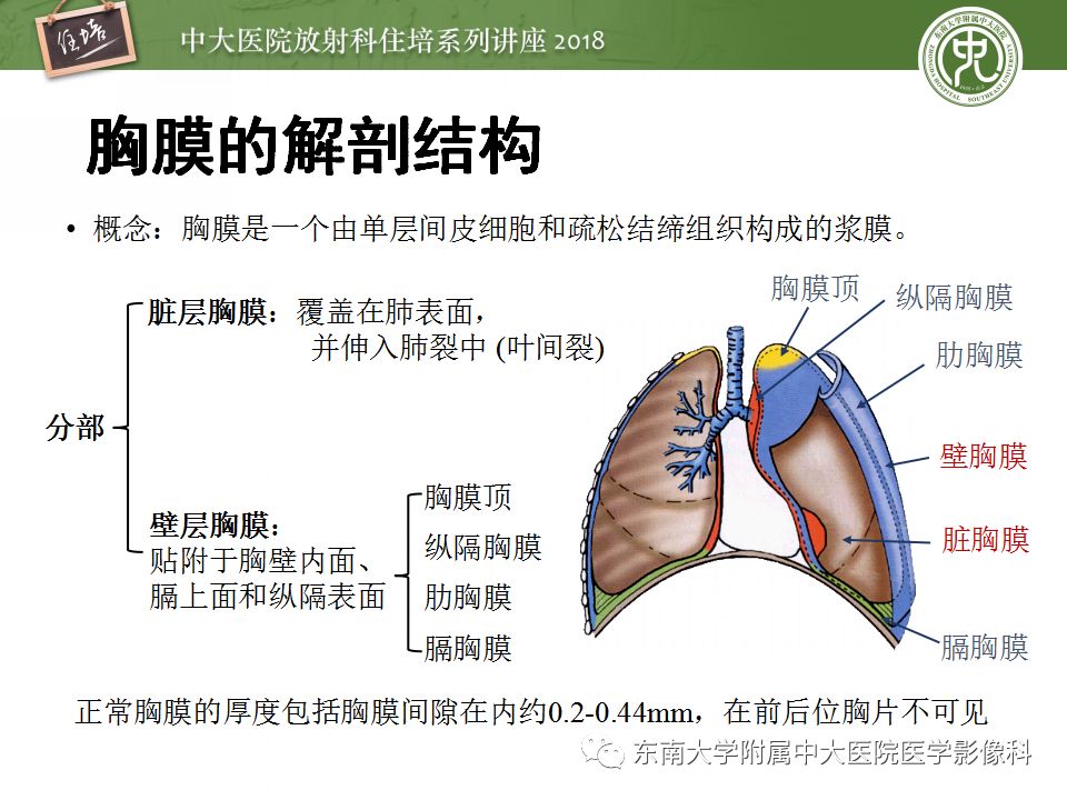 【PPT】胸膜常见疾病的影像诊断