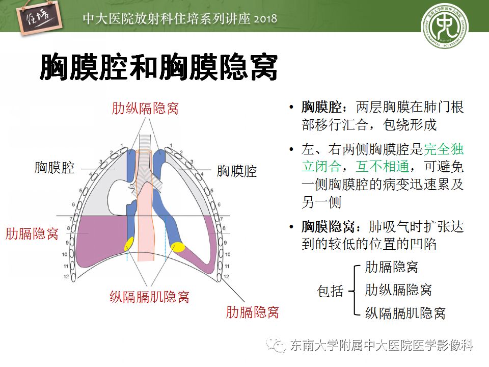 【PPT】胸膜常见疾病的影像诊断