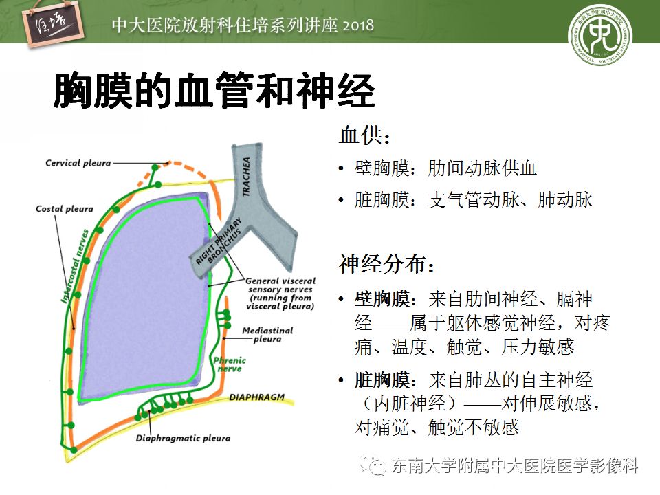 【PPT】胸膜常见疾病的影像诊断