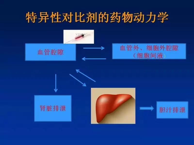 【PPT】肝细胞特异性对比剂临床应用