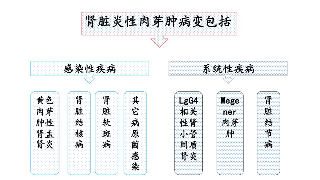 【PPT】肾脏炎性肉芽肿样病变影像表现