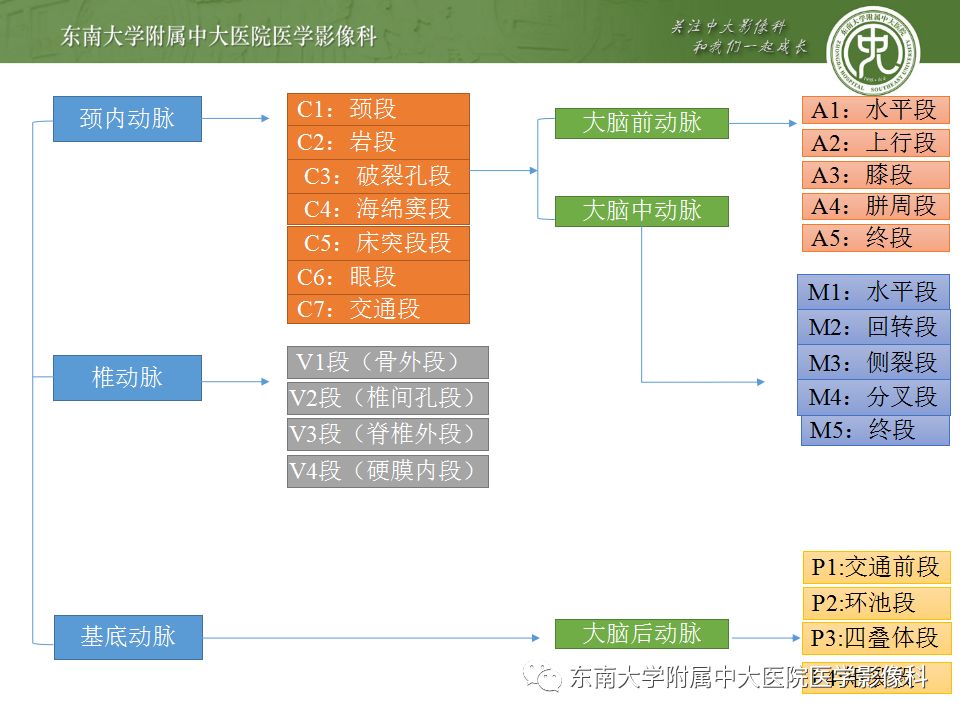 【病例】永存三叉动脉2例MRA