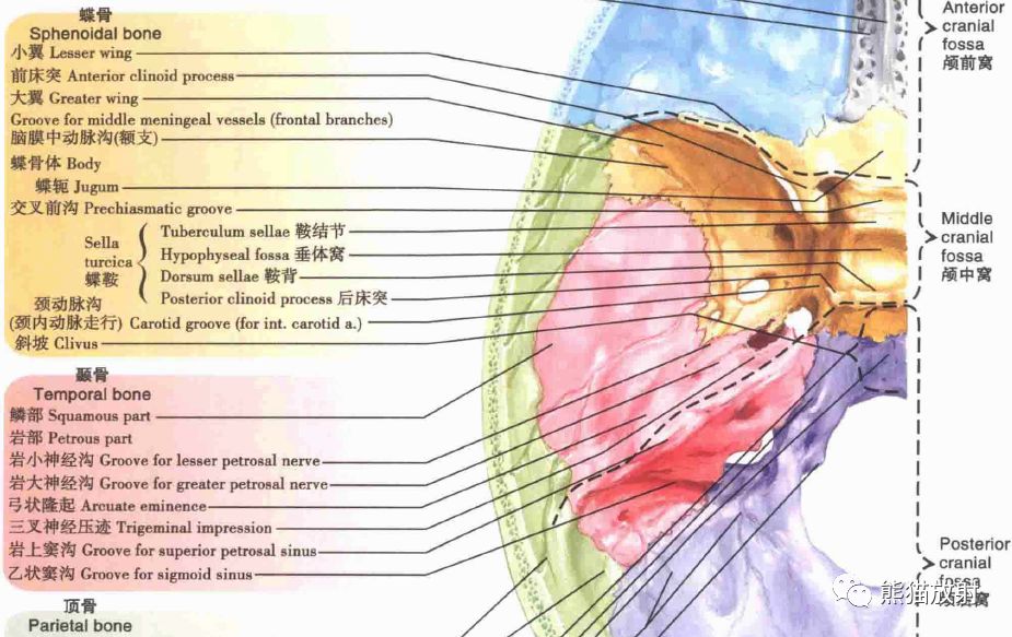 【PPT】海绵窦病变的影像表现及鉴别诊断