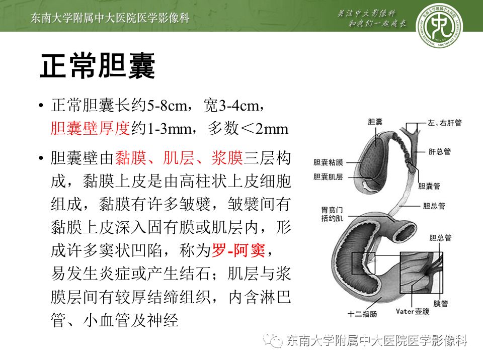【PPT】胆囊壁增厚性病变