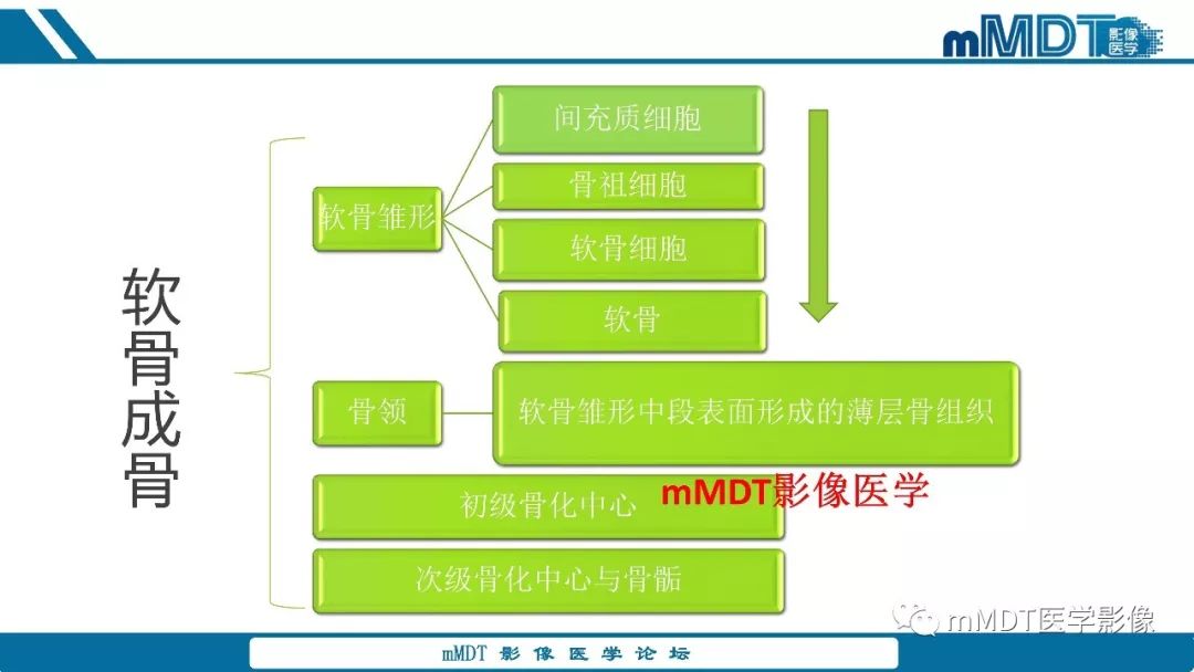 【PPT】成软骨性骨肿瘤影像诊断