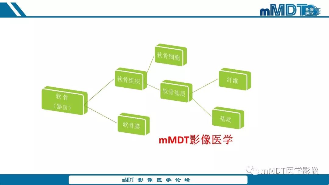 【PPT】成软骨性骨肿瘤影像诊断