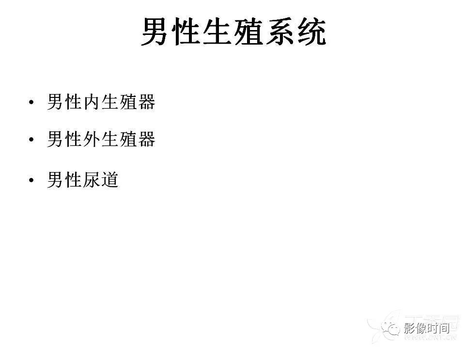 【PPT】前列腺影像解剖与功能解析